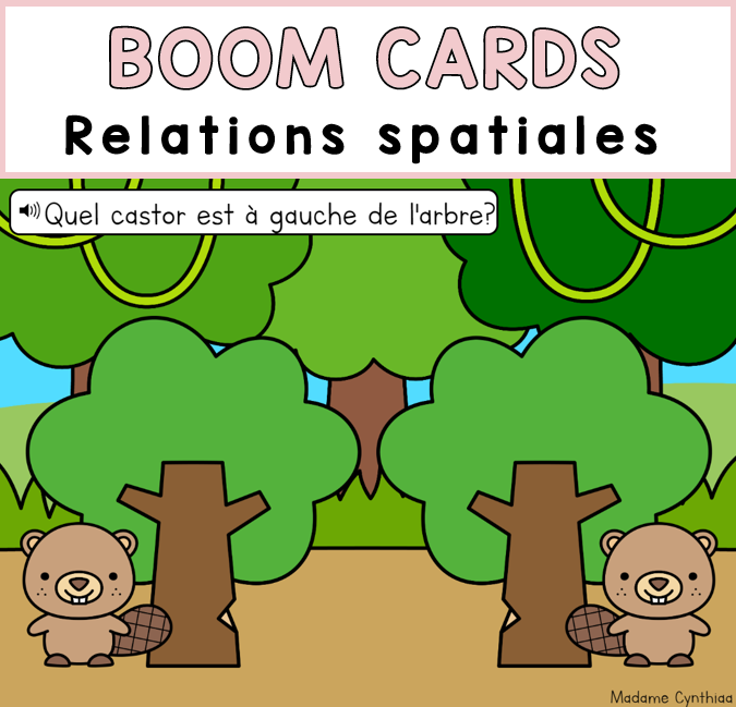 Boom Cards - Relations spatiales