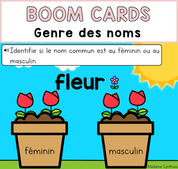 Boom Cards - Genre des noms