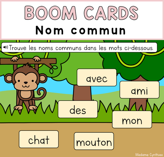 Boom Cards - Nom commun