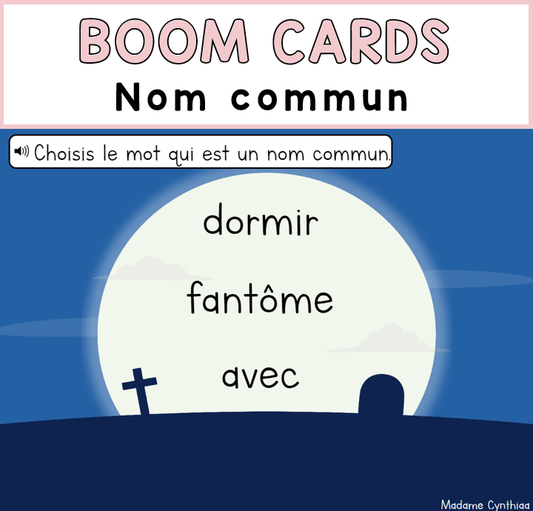 Boom Cards - Nom commun