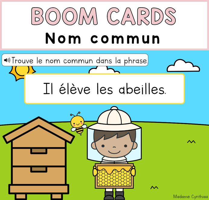 Boom Cards - Nom commun