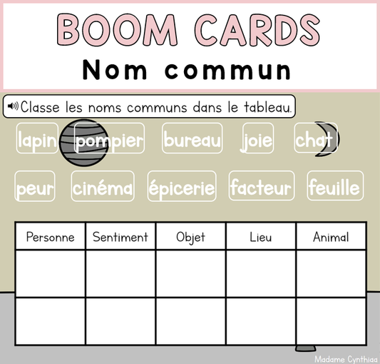 Boom Cards - Nom commun