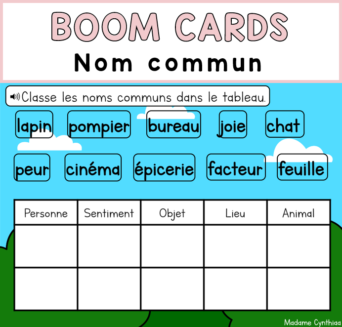 Boom Cards - Nom commun