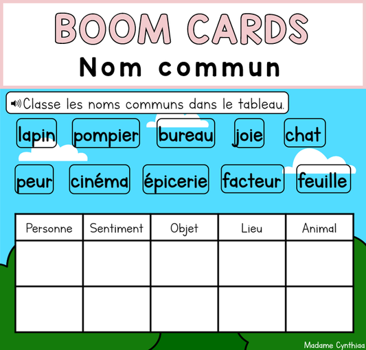 Boom Cards - Nom commun