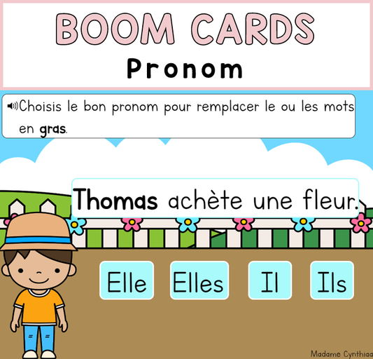 Boom Cards - Pronom