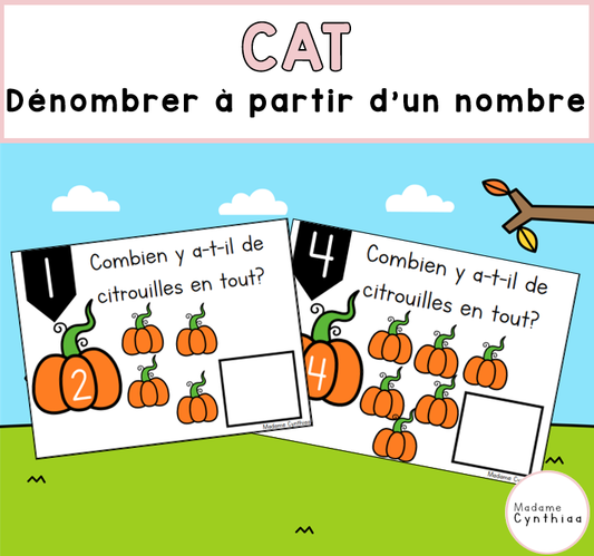 CAT - Dénombrer à partir d'un nombre 0-20